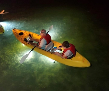 Clearwater Beach: Glass Bottom LED Kayak Night Tour
