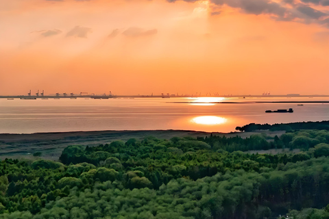 上海：崇明岛私人观光（含午餐）