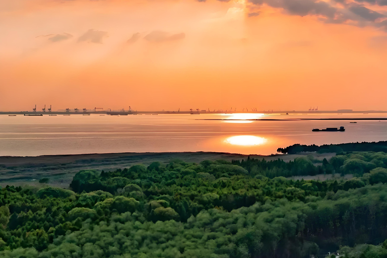 上海：崇明岛私人观光（含午餐）