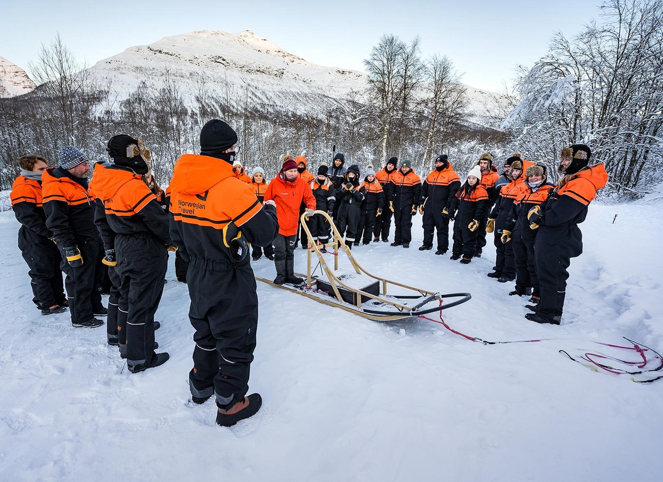 Fra Tromsø: Hundeslædeeventyr i Tamokdalen
