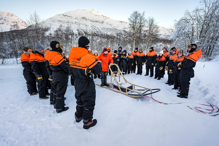 From Tromsø: Dog Sledding Adventure in Tamokdalen Dog Sledding Adventure in Tamokdalen: Midday Departure