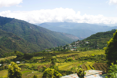 Bhutan: 3-Night 4-Day Tour with Tiger's Nest Monastery