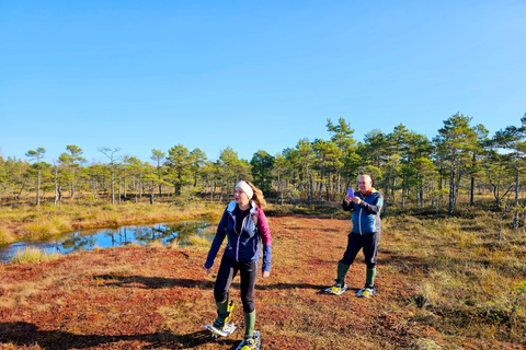 Ķemeri Bogs Adventure: Explore Wetlands In Bog Shoes