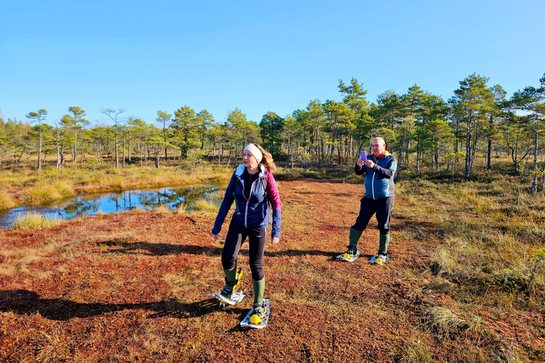 Ķemeri Bogs Adventure: Explore Wetlands In Bog Shoes