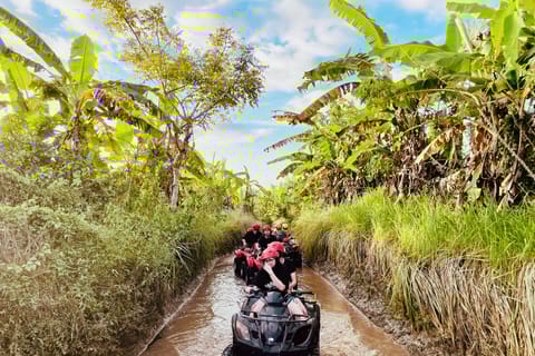 Ubud: quad Gorilla Face, altalena nella giungla, cascata e pasto