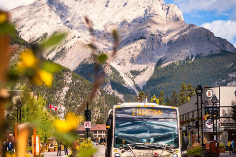 Tour privato di Banff di un giorno intero Lake Louise, Gondola e altro ancora