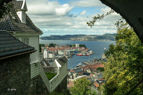 Bergen : billet pour le funiculaire de FløibanenBillet aller simple