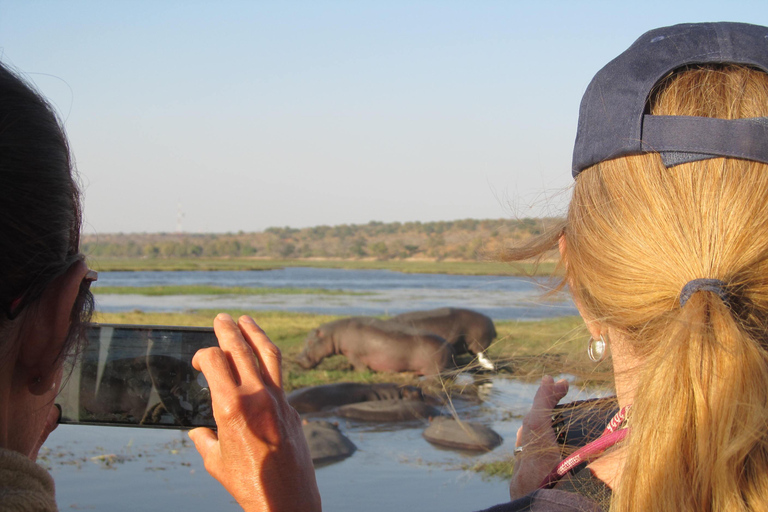 Kasane-Boat Cruise - Chobe River with Transfer Kasane-Boat Cruise - Chobe River with Transfer