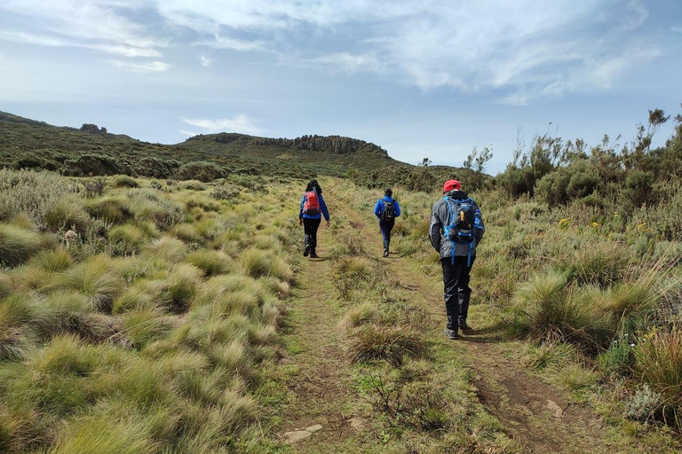 Aberdare Highlands: North to West Trekking Experience