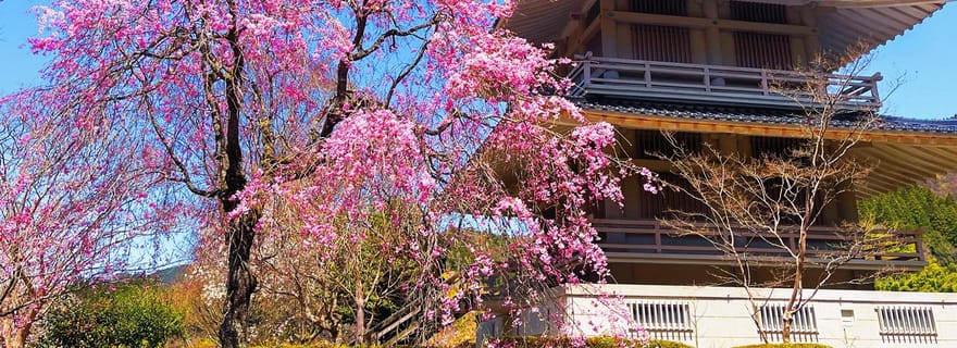 Fukuoka : excursion d'une journée aux gorges de Takachiho et au sanctuaire d'Amano-Iwato
