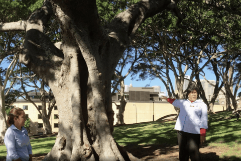Sydney: The Rocks Aboriginal Dreaming Tour