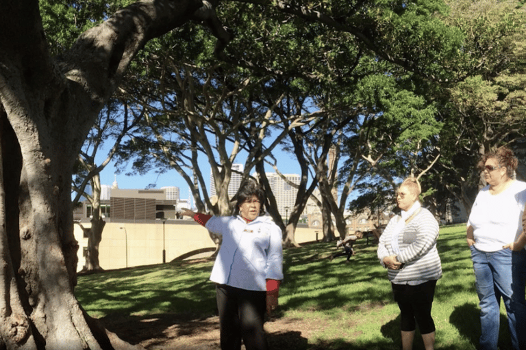 Sydney: The Rocks Aboriginal Dreaming Tour