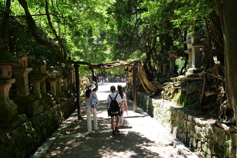 Nara: Tour a pie de medio día por el Patrimonio de la UNESCO y la Cultura Local