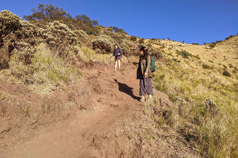 Yogyakarta: Mount Merbabu Shared Guided Tour All Inclusive Mount Merbabu Day Hike Shared Guided Tour All Inclusive