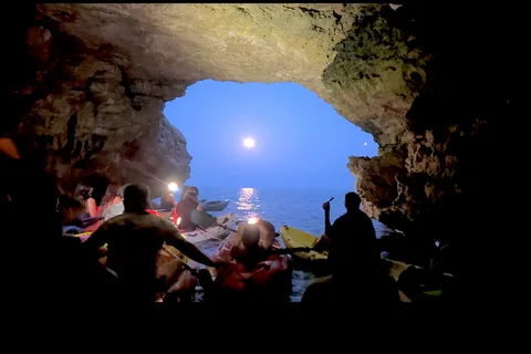 Night Kayak or Paddle Surfing Excursion