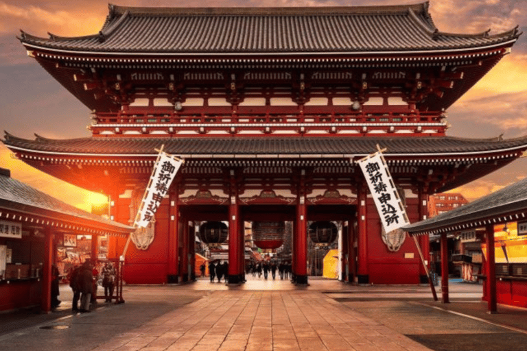 Tokio: Prywatna wycieczka po mieście Tokio w luksusowym transporcieTokio: Wycieczka prywatna po mieście Tokio w luksusowym transporcie