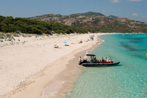 From Saint-Florent: Boat Transfer to Saleccia or Lotu Beach Transfer to Lotu Beach