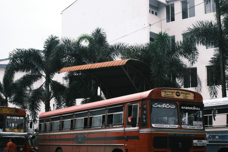 Colombo: First Night Guided Tour with Tuk Tuk Ride