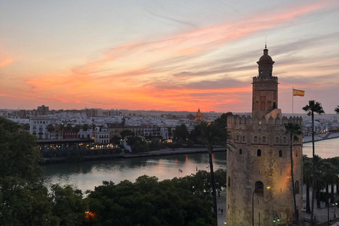 Siviglia: terrazza panoramica con vista mozzafiatoSiviglia: terrazza sul tetto con vista panoramica