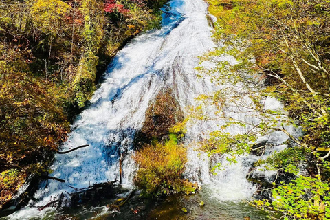 Tokyo: 5-Day Private Tour to Hiroshima with Transport