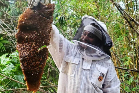 Zanzibar: las Masingini, pszczelarstwo i wycieczka na plażę MtendeZanzibar: Las Masingini, pszczelarstwo i wycieczka na plażę Mtende