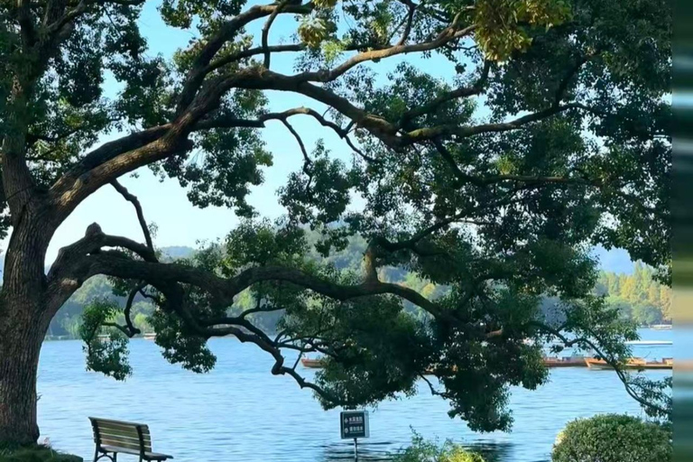 A classic half-day cruise on West Lake Bilingual Service：West Lake & Broken Bridge &Sculling Boat