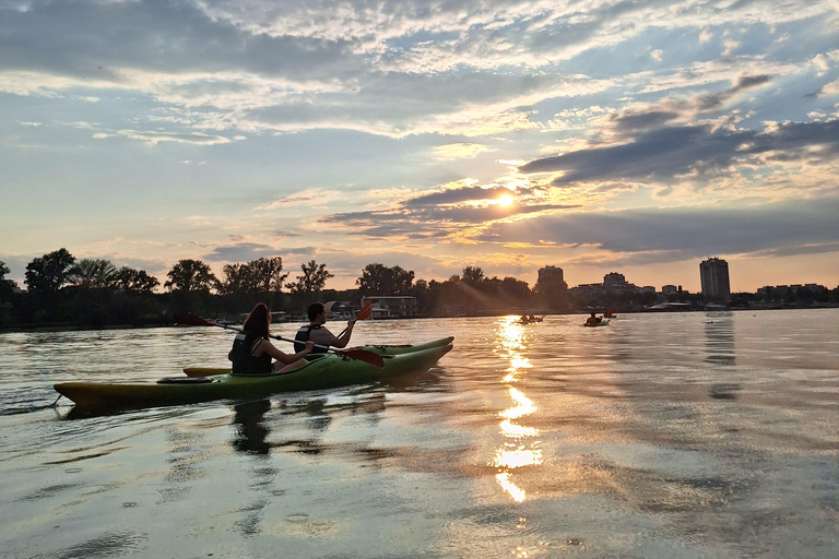 Belgrade: Sunset Kayak Adventure
