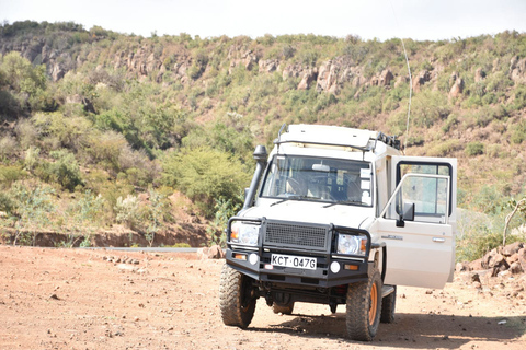 7-dniowe safari Kili Safari Amboseli, Naivasha i Masai Mara