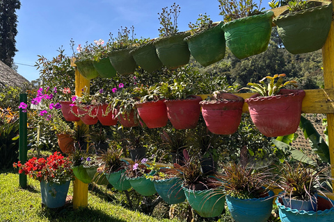 Medellín: 2-Day Jardín and Tapartó Tour with Accommodation