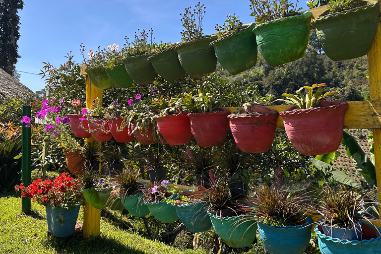 Medellín: 2-Day Jardín and Tapartó Tour with Accommodation