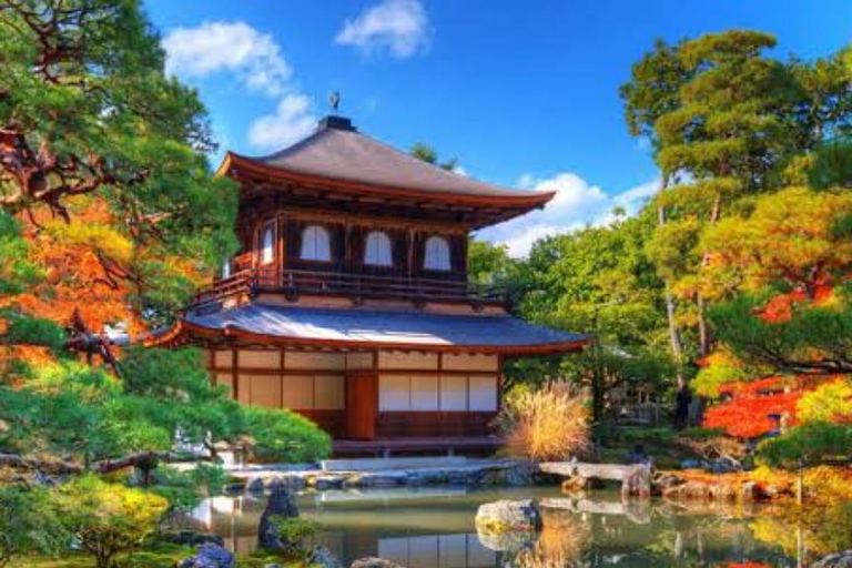 Tokyo: 7-Day Japan Highlights Private Guided Tour