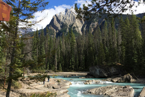 Banff & Yoho: Moraine, Louise, Emerald Lake, Canyon & Falls