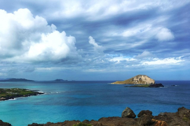 From Waikiki: Oahu Scenic Half-Day Circle Island Tour