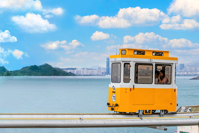 Busan: Sky Capsule, Local Street Food and Sunset/Night Views Nightview Shared Tour, Meet at KTX Busan Station