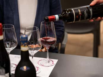Valpolicella Wine Museum: E-bike rental with App and Tasting