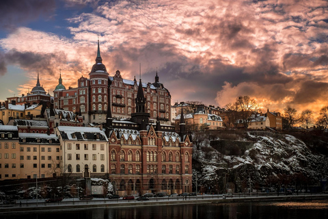 Stockholm VIP half day city tour by incl. Vasa Ship Museum