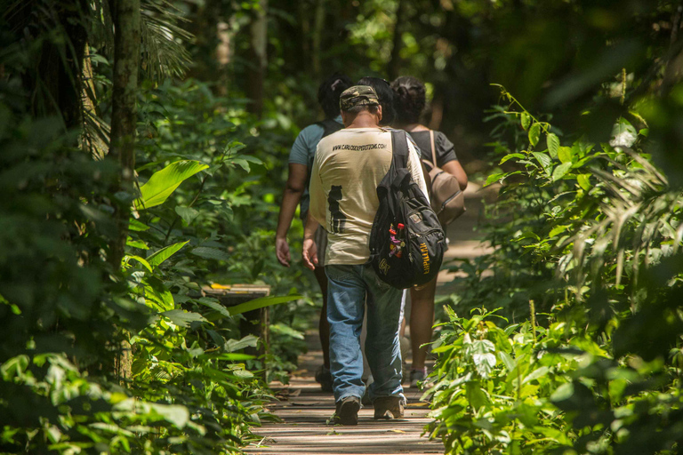 From Puerto Maldonado: Tambopata National Reserve 2-Day Tour