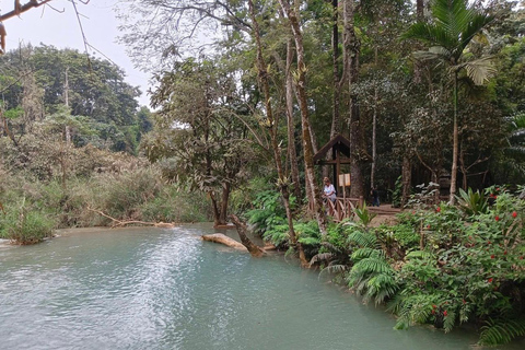 Luang Prabang: Pak Ou Caves & Tad Sea Waterfall Full Day