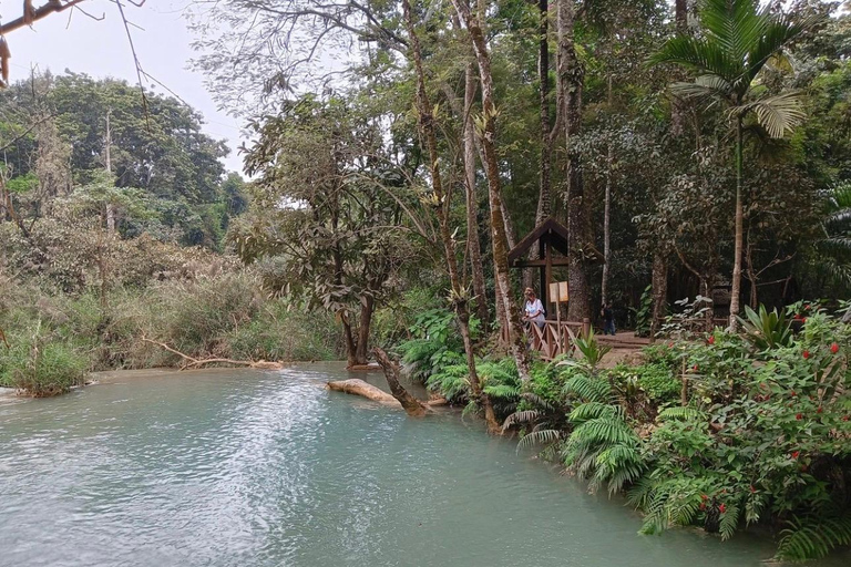 Luang Prabang: Pak Ou Caves & Tad Sea Waterfall Full Day