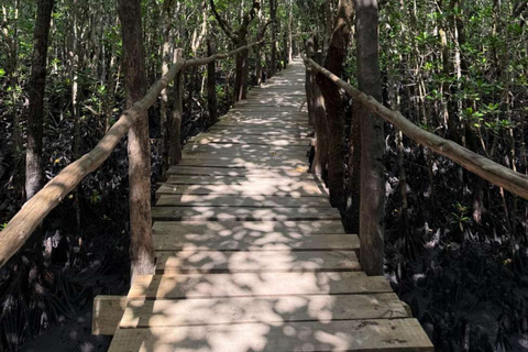 Zanzibar: Jozani forest, Sea tortoises & Mtende beach tour Private tour no Hotel pick and drop off included