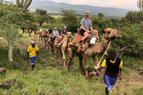 Camelback Wildlife Safari with Transfers & Meal from Nairobi 2-Hour Camelback Wildlife Safari with Transfers & Meal