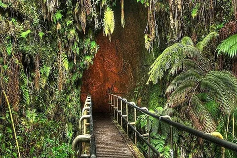 Dalla Big Island: Tour del Parco Nazionale dei Vulcani delle Hawaii