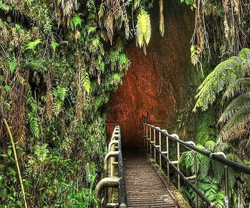 From the Big Island: Hawaii Volcanoes National Park Tour