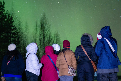 Rovaniemi: Aurora hunting and a fireside BBQ experience