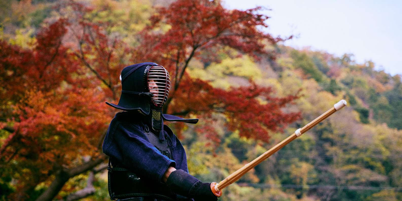 Kyoto experience — temples, geisha, bamboo grove — image 35