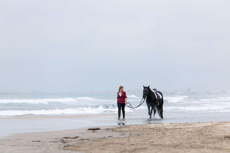 Cape Town: Noordhoek Beach Horseback Ride With Ocean Views