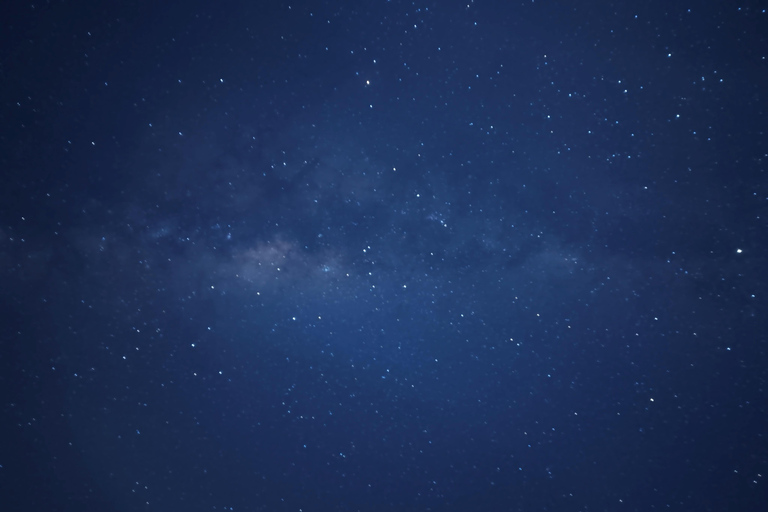 From Perth: Koala, Pinnacles Stargazing Day Tour