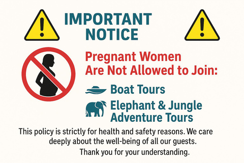 Koh Samui: Pig Island Tour by Speedboat with Snorkeling Private Tour or Cruise Ship Option