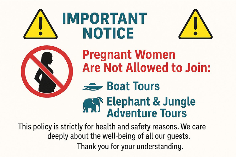 Koh Samui: Pig Island Tour by Speedboat with Snorkeling Private Tour or Cruise Ship Option