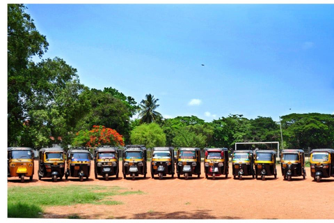 Excursão de Tuk-Tuk ao Forte de Kochi